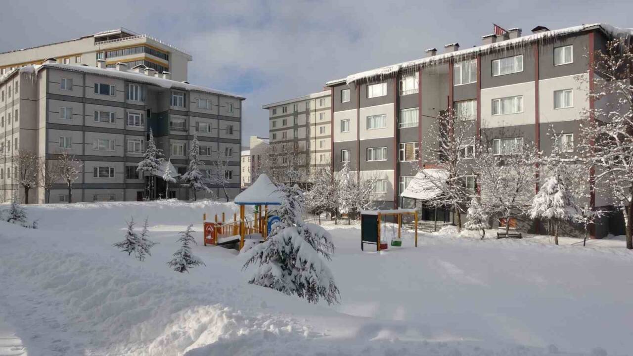 Bitlis’te kar yağışı: 219 köy yolu ulaşıma kapandı