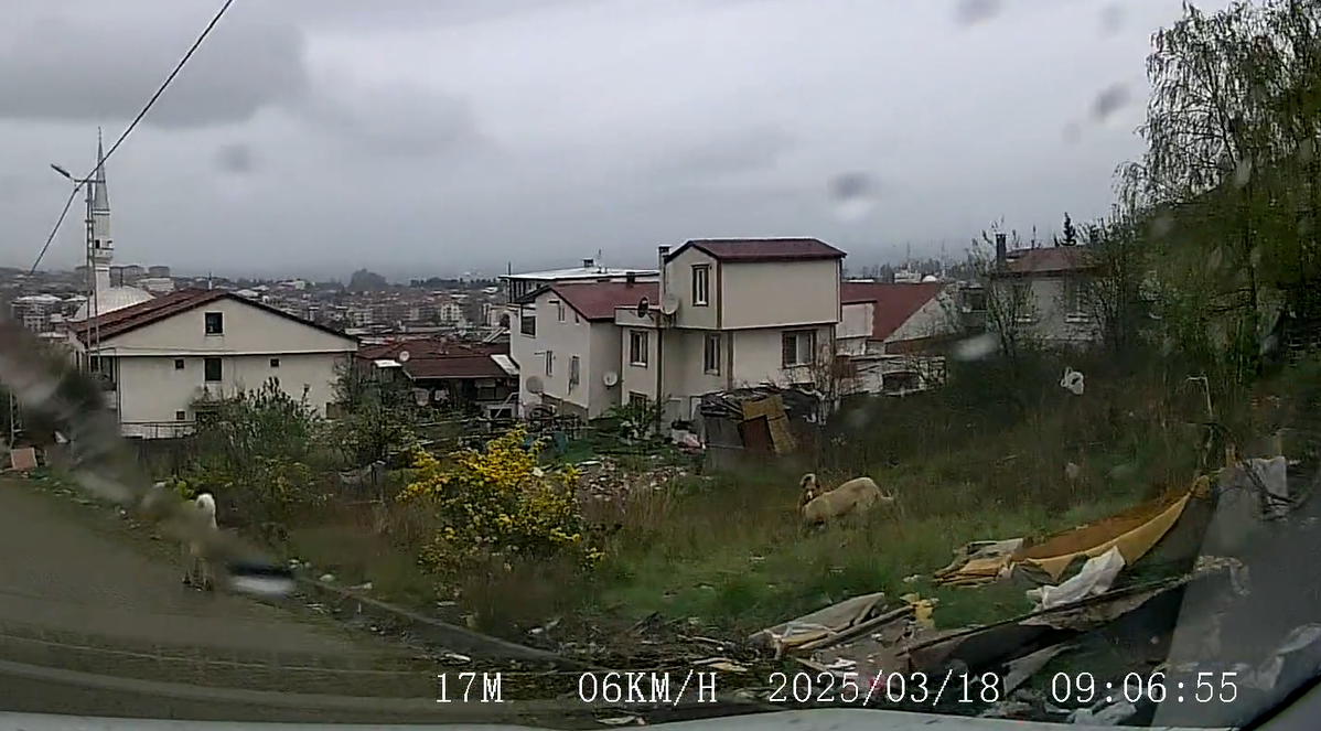 Yalova'da köpek saldırısına uğrayan 5 yaşındaki çocuk Bursa'ya sevk edildi