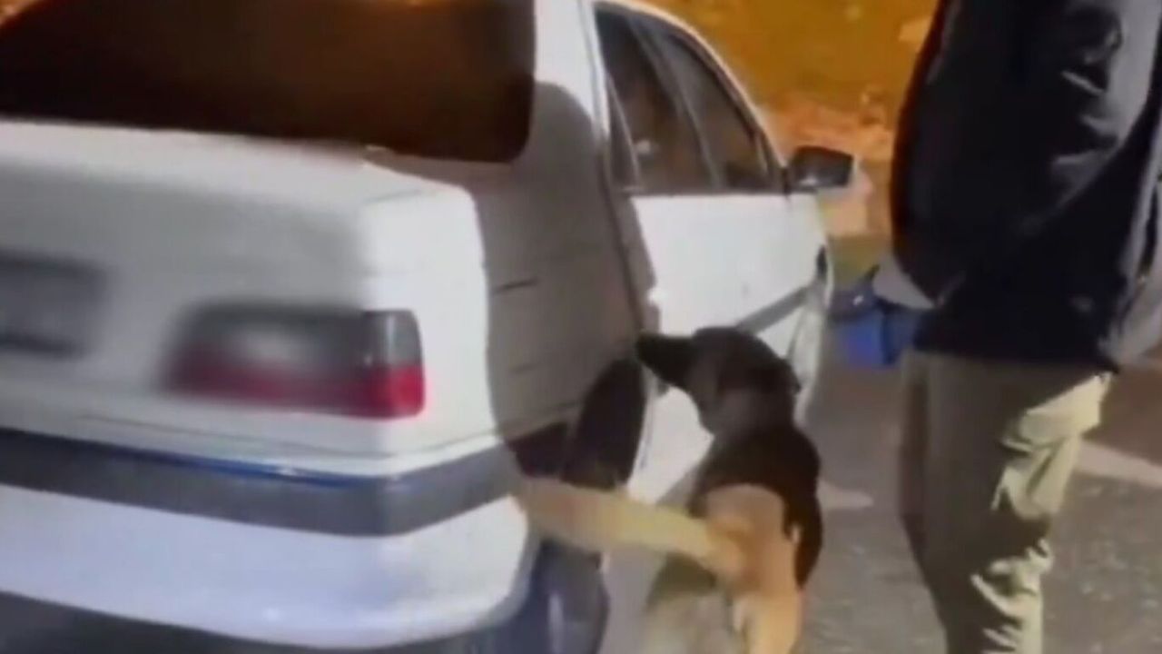 Erzurum’da 27 kilo 850 gram likit metamfetamin ele geçirildi