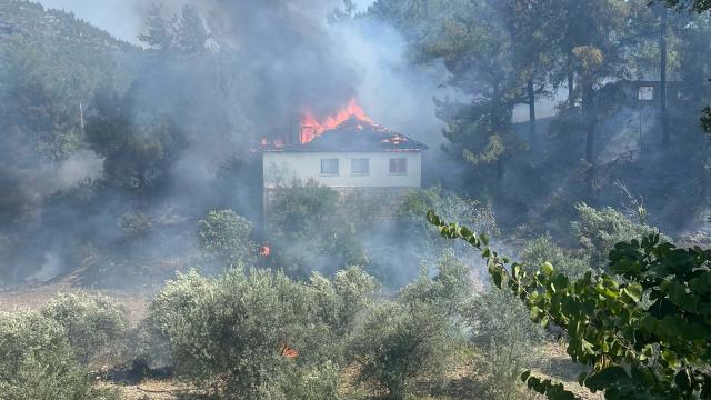 Muğla'da Yangın Ormana Sıçradı, Müdahale Sürüyor