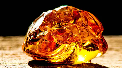 385 Milyon Yıllık Kehribar Bilim Dünyasını Şaşırttı