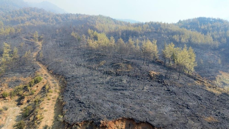 Balıkesir, Çanakkale ve Muğla'da orman yangınlarıyla mücadele sürüyor