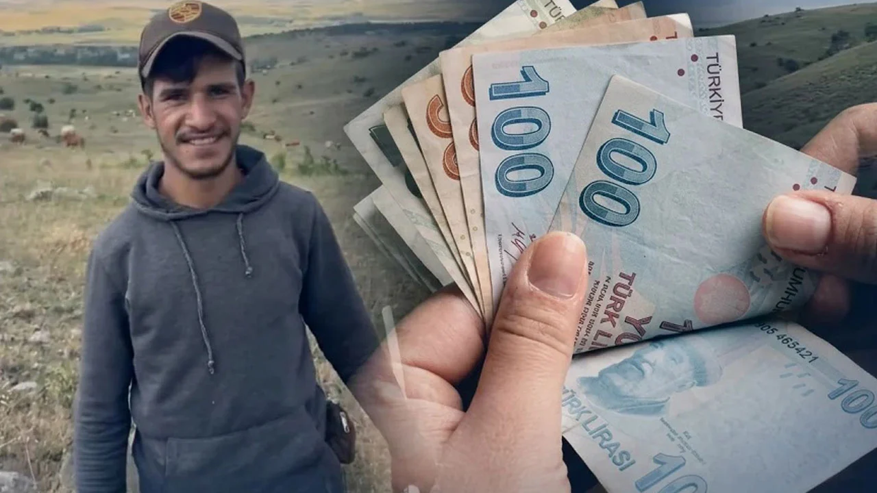 Genç çobanın açıkladığı sezonluk kazanç sosyal medyada tartışma yarattı