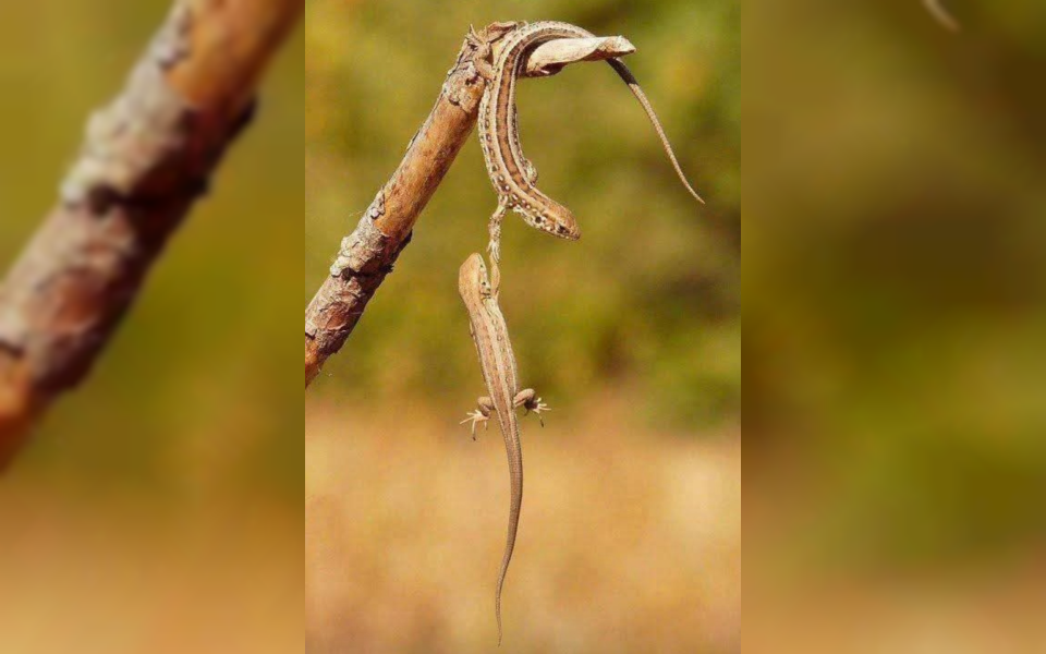 Kırılmadan Değil, Vazgeçmeden Yaşamak