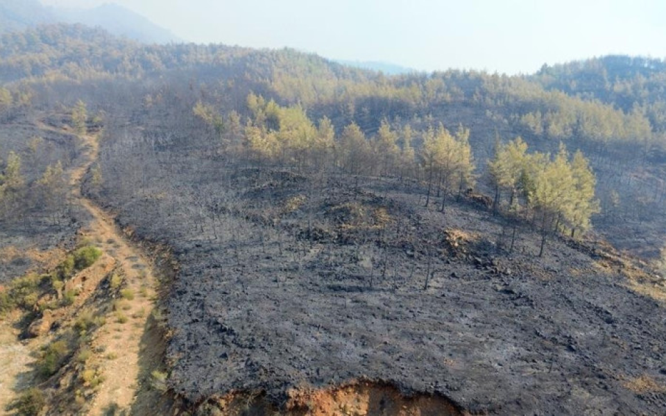 Balıkesir, Çanakkale ve Muğla'da orman yangınlarıyla mücadele sürüyor