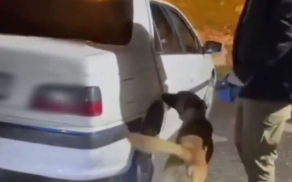 Erzurum’da 27 kilo 850 gram likit metamfetamin ele geçirildi
