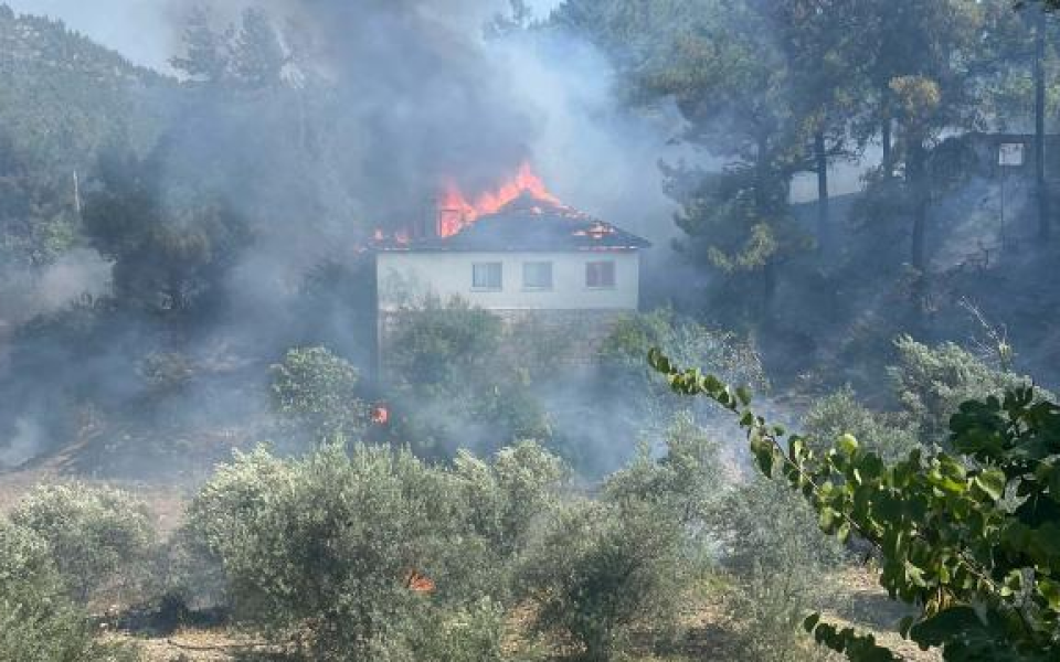 Muğla'da Yangın Ormana Sıçradı, Müdahale Sürüyor