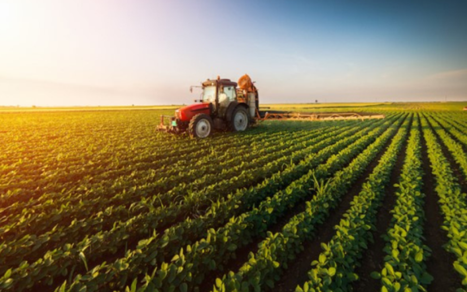 Tarımsal ürün endeksleri açıklandı
